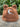 B-Grade Teddi Bucket Hat